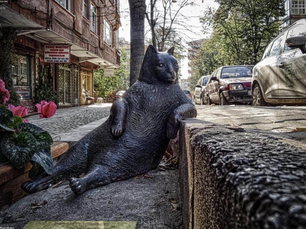 កម្មវិធីស្តិបអ៊ីនធឺណេត: ការសិក្សាផ្នែកនិងការសិក្សាពីគន្លង