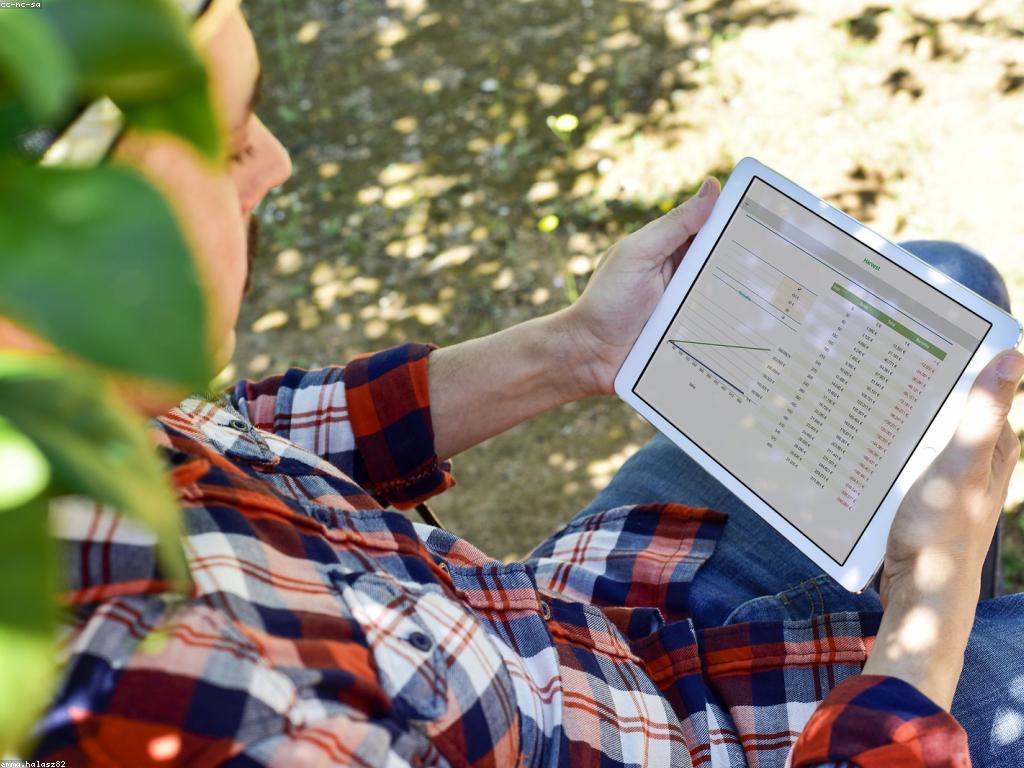 អត្ថប្រយោជន៍នៃកម្មវិធីស្ដិបអ៊ីនធឺណេត