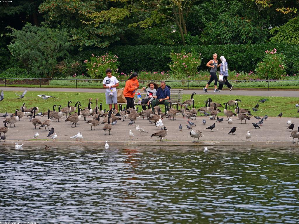 យុទ្ធសាស្ត្រចាប់អារម្មណ៍សម្រាប់អ្នកប្រើប្រាស់